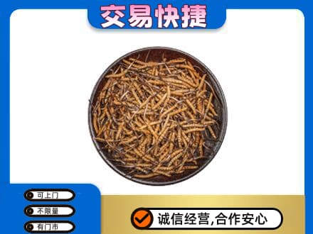 牡丹江市回收散虫草